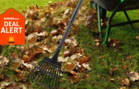 Amazon déstockage d&rsquo;outils de jardin pour l&rsquo;automne — économisez jusqu&rsquo;à 43 % sur Fiskars, WorkPro et d&rsquo;autres marques