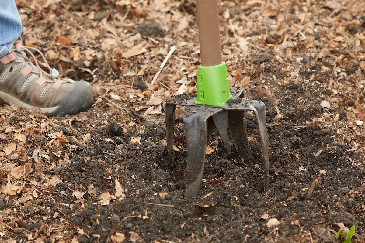 Woman uses a manual cultivator to break up soil in a garden bed.