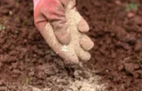 19 pratiques de jardinage en automne pour protéger et enrichir votre sol en hiver
