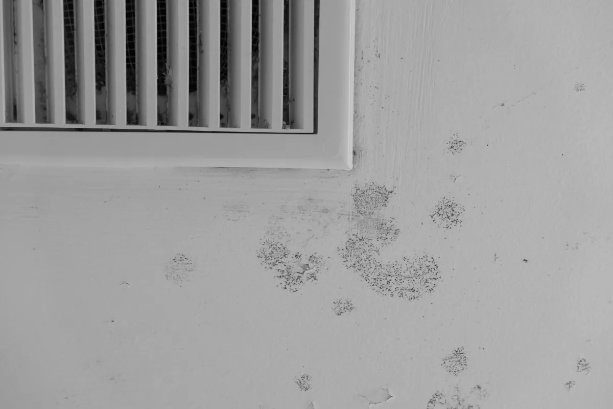 Louvered white air conditioner vent cover on a white wall with mold spots.