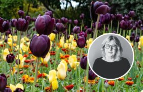 Jardinage de novembre : que planter ce printemps